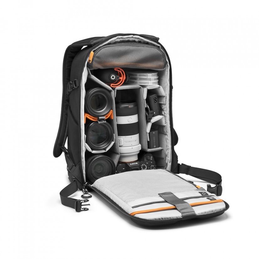 Lowepro Flipside BP 300 AW III (Black)