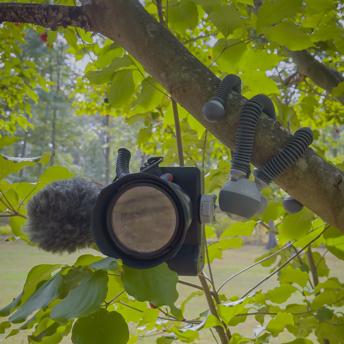 Joby PodZilla Large Kit