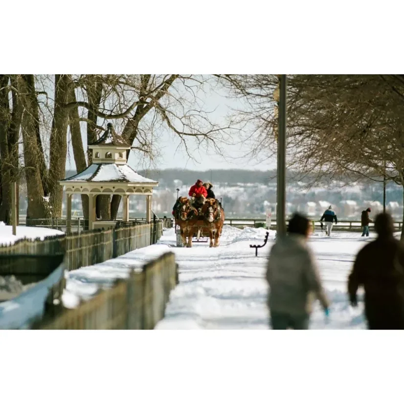 Eastman Kodak Ektacolor Pro 160 - 35 mm (36 snímků)