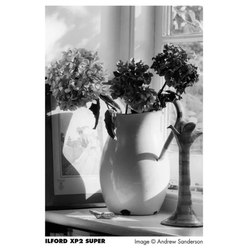 Ilford XP2 Super 400/120