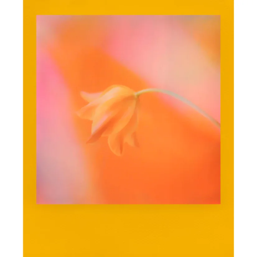 Polaroid i-Type Color Film Color Frame