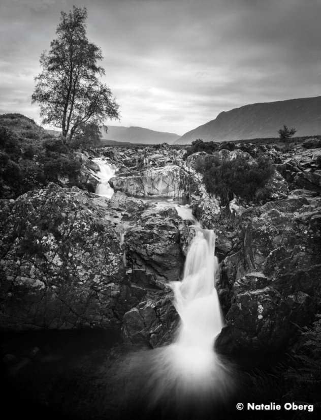 Ilford Ortho Plus 80/120