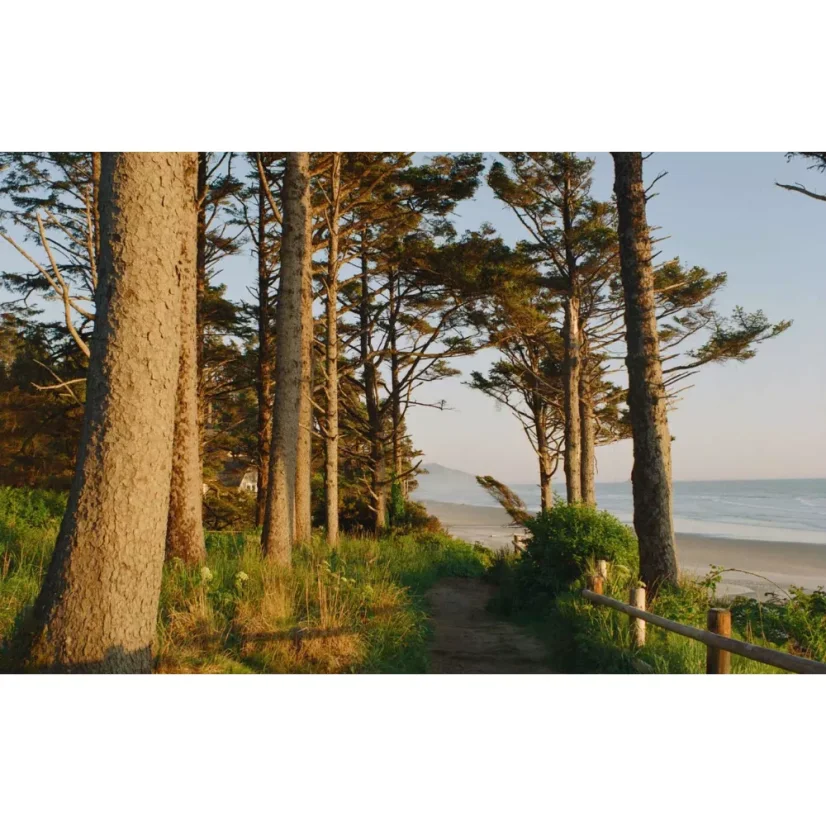 Eastman Kodak Ektacolor Pro 800 - 35 mm (36 snímků) - poškozená krabička