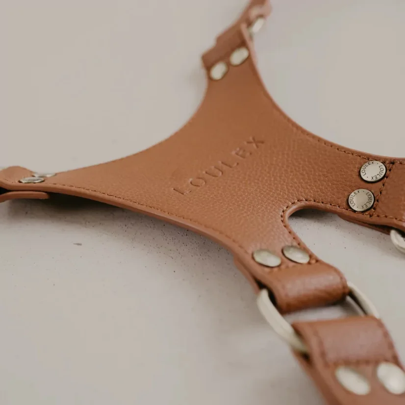 Loulex Double-Strap Brown - Dvojitý popruh hnědý