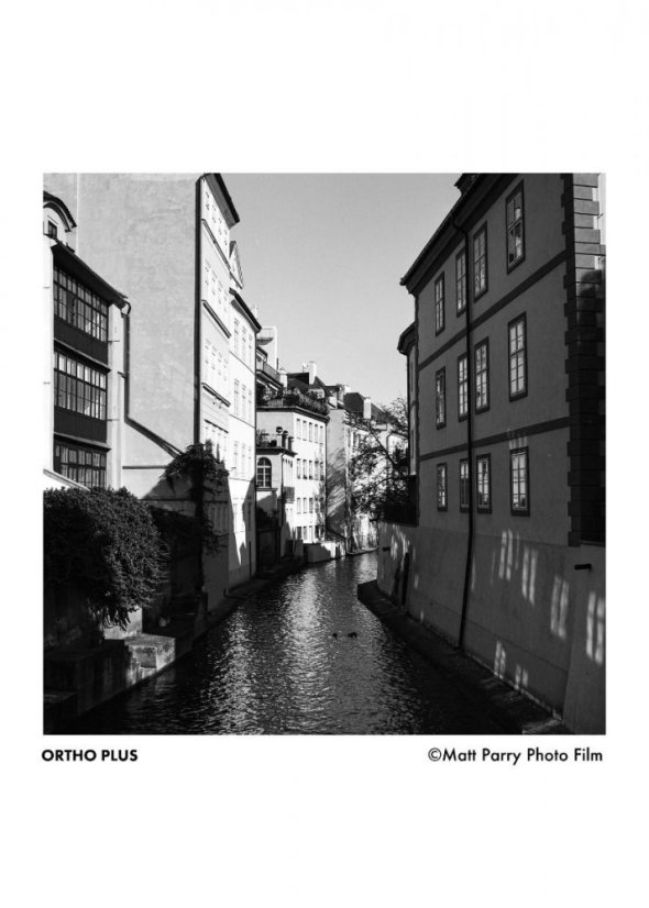 Ilford Ortho Plus 80/120 - EXP 09/2022