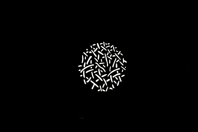 Nanlite GOBO Set 1 pro PJ-FMM-19/36