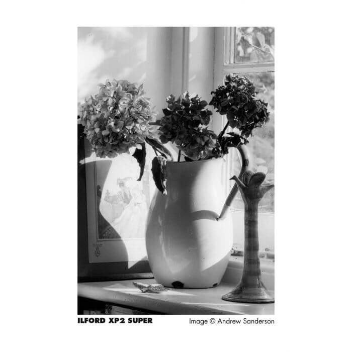 Ilford XP2 Super 400/135-36
