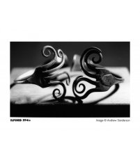 Ilford FP4 Plus 125/135-36