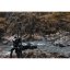 Syrp MC Carbon Track 600mm