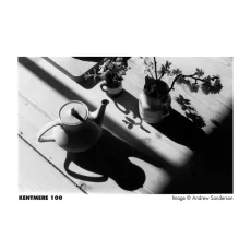 Kentmere 100/135-36