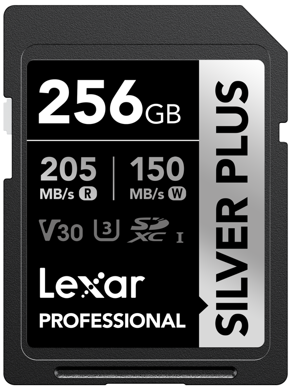 Lexar Professional Silver Plus SDXC - 256 GB