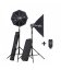 Elinchrom Sestava D-Lite RX ONE/ONE Softbox To Go