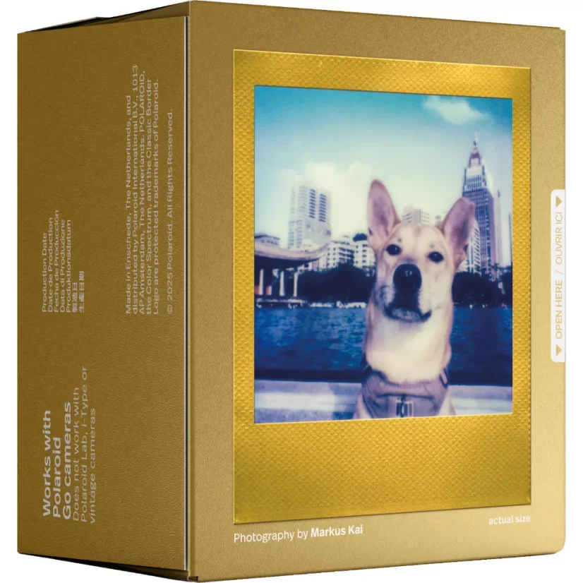 Polaroid Go Color Film Double Pack - Gold Frame (16 fotek) - EXP 07/2026