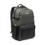 Lowepro Truckee BP 250 (Black)
