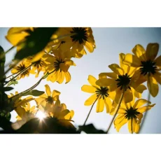 Kodak Kodacolor 100 - 35mm 36 snímků - barevný negativní film